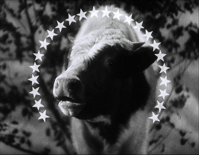 The Paramount Moooo-untain. "The Milky Way" (1936).