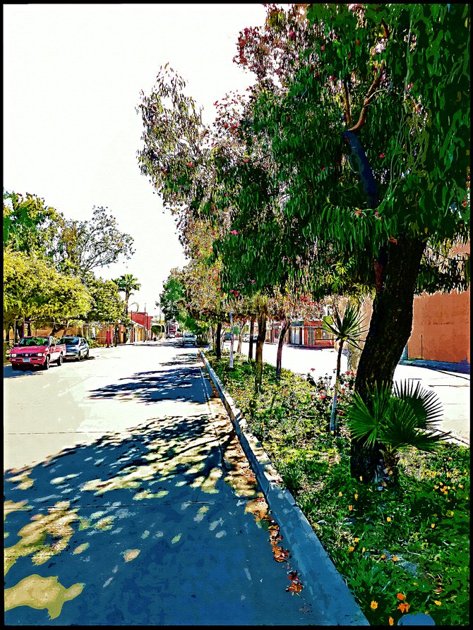 Neighborhood Photos
TIJUANA,BAJA CALIFORNIA
Street in Altabrisa section of Tijuana /Calle en el fraccionamiento Altabrisa en Tijuana.