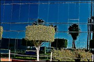 photo thumbnail