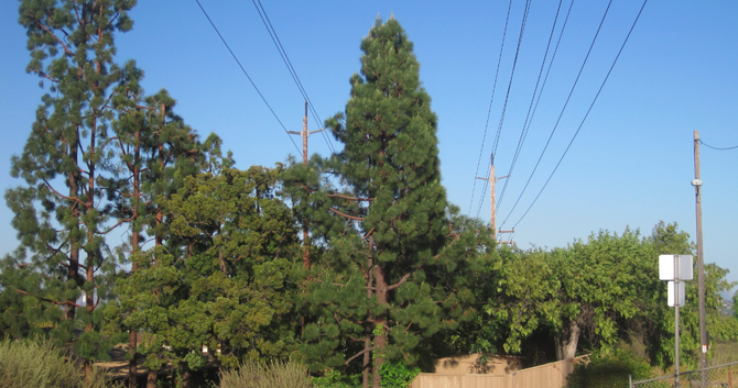 Overhead electrical transmission lines at Pasatiempo open space in Del Cerro