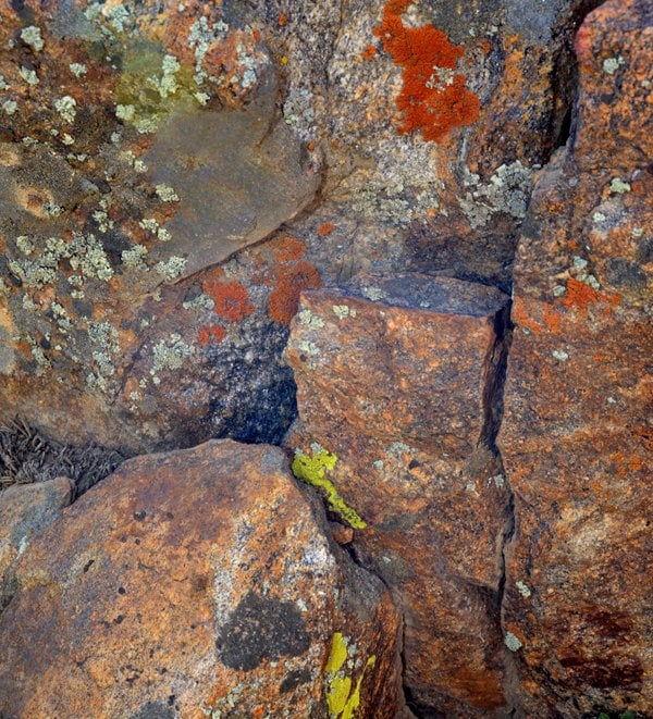 Rock and Moss @ "Garnet Peak" 6,000 ft. in the Laguna Mountains California.