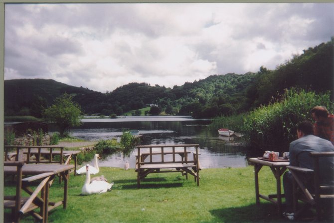 Lunch with the swans,  Lake District, England