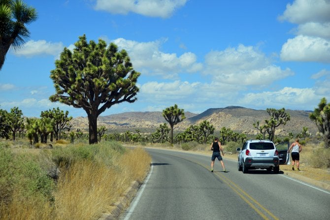 Joshua Tree N.P. Road trip from San Diego 5-7-13