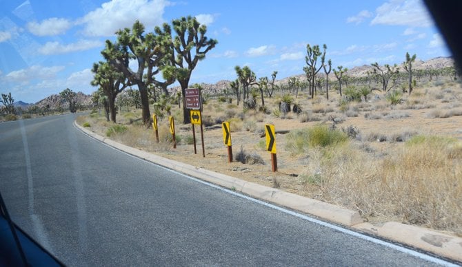 Joshua Tree N.P. Road trip from San Diego 5-7-13