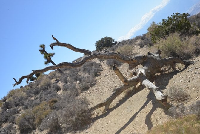 Joshua Tree N.P. @ "KEYS POINT" on Road trip from San Diego 5-7-13