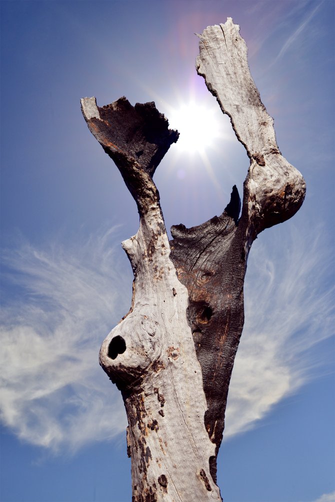 Laguna Mountains
