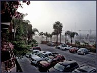 photo thumbnail