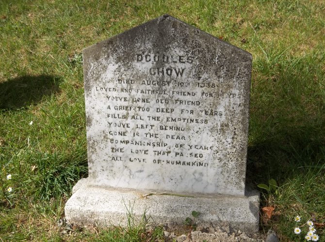 Poignant tombstone at the pet cemetery in Powerscourt, Ireland