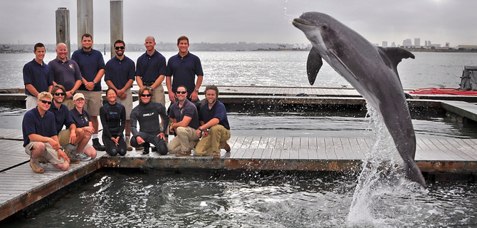 Members of the Space and Naval Warfare Systems Center Pacific Marine Mammal Team with one of the Navy's specially trained Atlantic bottle-nosed dolphins