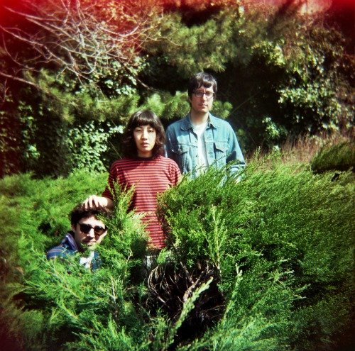 NYC's favorite psych-pop trio the Beets will fill the Void on Saturday.