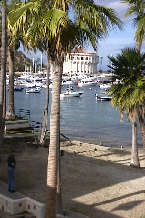 Catalina Island, Artistically created by "Chartier" circa '"2001"