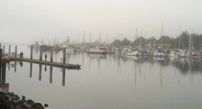 Sleepy waterfront in the Humboldt County town of Eureka, CA. 