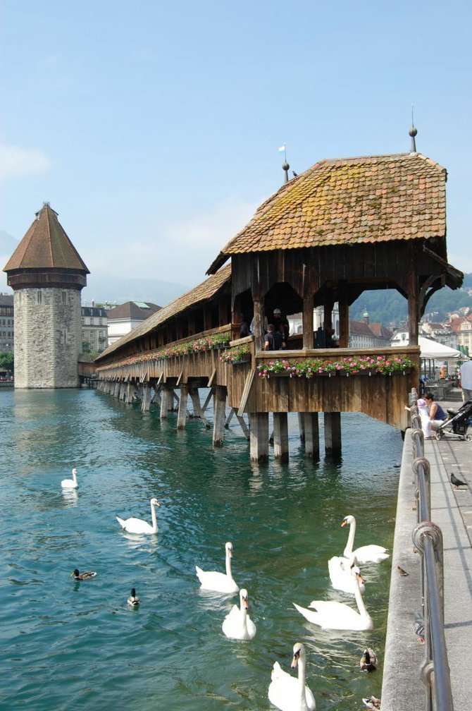 Swans swim languidly beside the medieval Kapellbrücke.