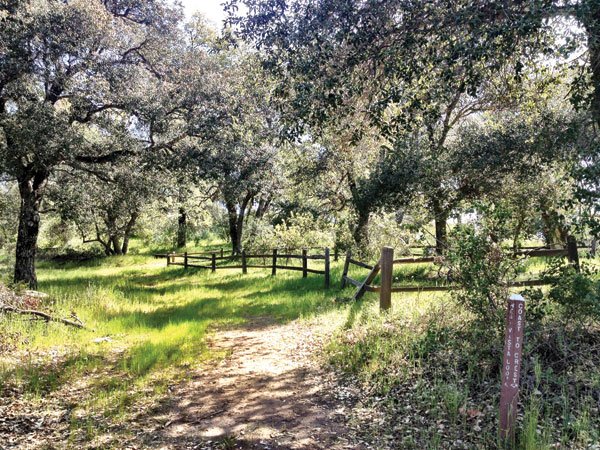 Santa Ysabel Open Space Preserve offers walks and picnic spots in pristine chaparral, woodlands, and grasslands.