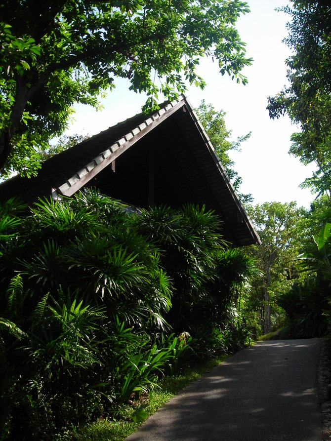A villa in Koh Samui within the woods.