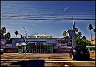 photo thumbnail