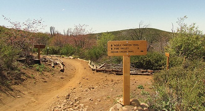 All 10.6 miles of the trail are above 5000 feet, and the well-signed trail features 2000 feet of elevation change.