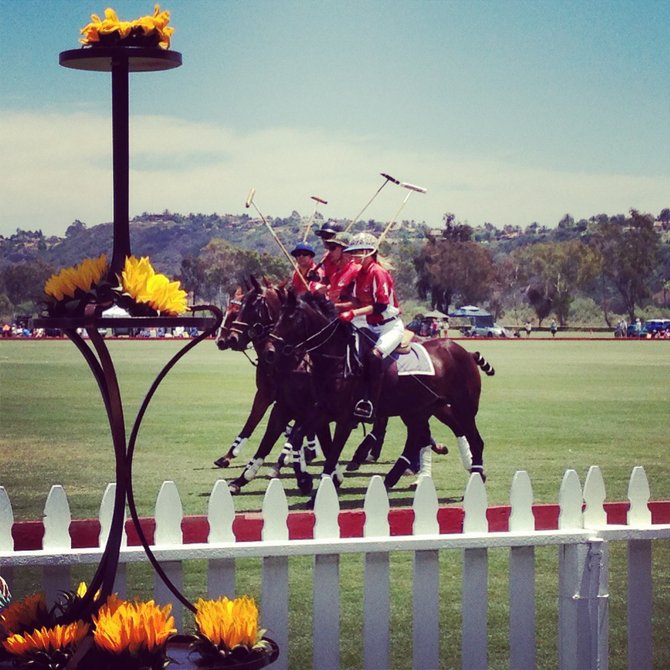 Polo players riding by