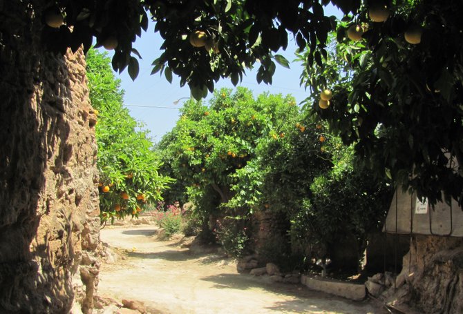 Looking out at the driveway of Forestiere Underground Gardens