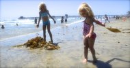 photo thumbnail