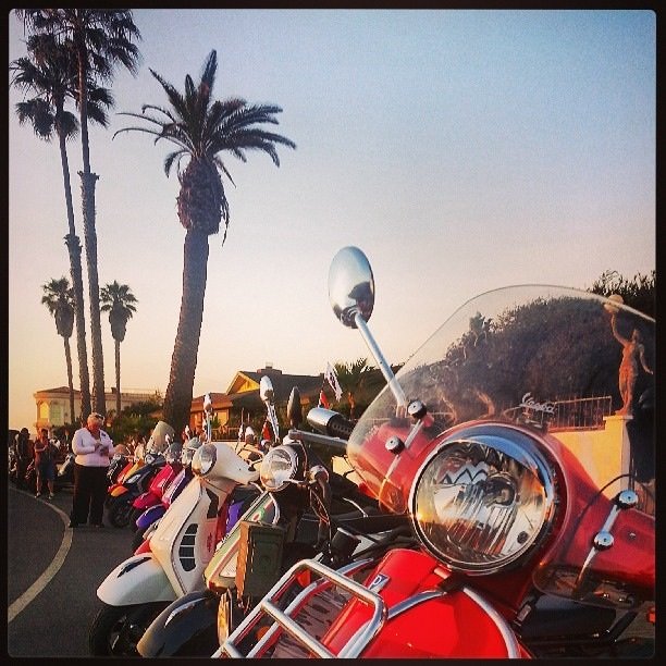 Hundreds of scooter gathered this past weekend from all over the states for San Diego's first Amerivespa