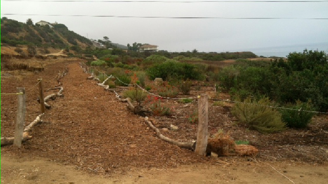 The native-plant garden is considered an exemplary use of native vegetation to control runoff and stop erosion.