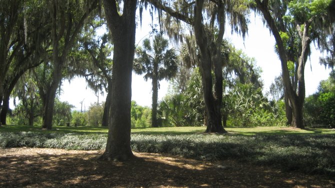 The Bok Tower gardens. 