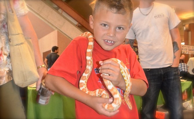 Jaiden Polsky, 6, with a corn snake. Photo Weatherston