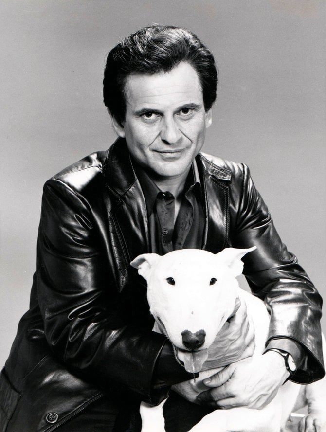 "IN NEW NBC-TV SERIES -- Joe Pesci as Rocky Nelson and Hunk is his dog in 'Half-Nelson,' a new NBC-TV series about an ex-New York cop who moves to Hollywood to pursue an acting career. The pilot will be telecast on NBC Sunday Night at the Movies March 24 (9-11 p.m. NYT; closed-captioned)."
