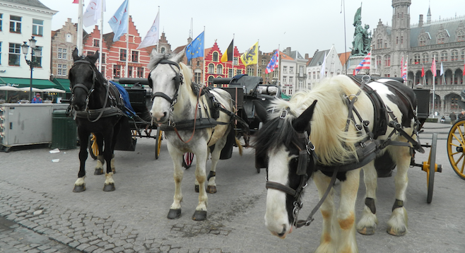 Carriage horses wait for customers in Bruges's Markt square. 