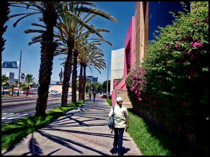 Neighborhood Photos
TIJUANA,BAJA CALIFORNIA
Walking by Hotel Camino Real on Tijuana's Zoan Rio or River Zone/Caminando por el Hotel Camino Real en la Zoan Rio de Tijuana