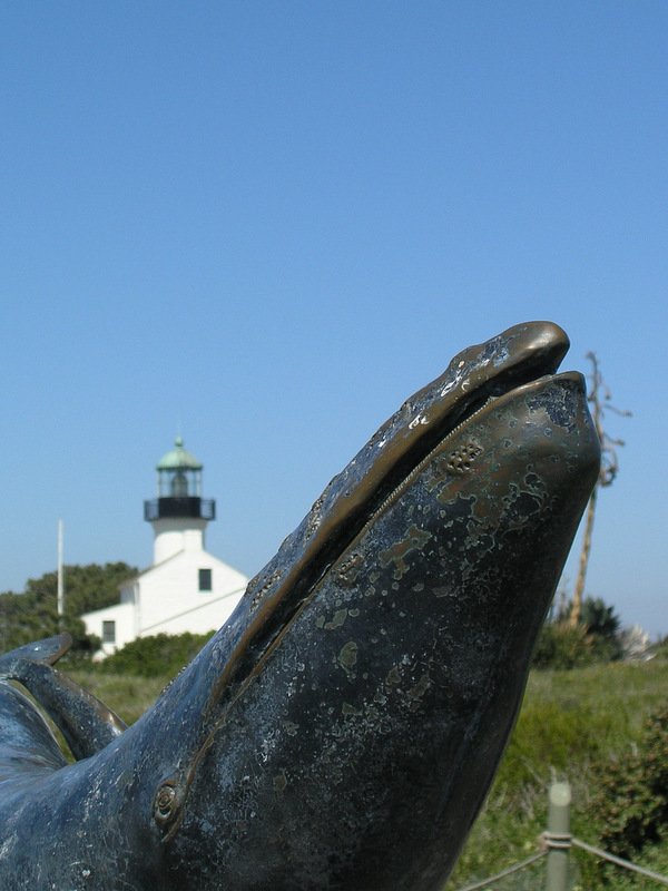 A Whale of a Time at Cabrillo National Monument-