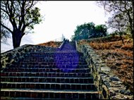 photo thumbnail