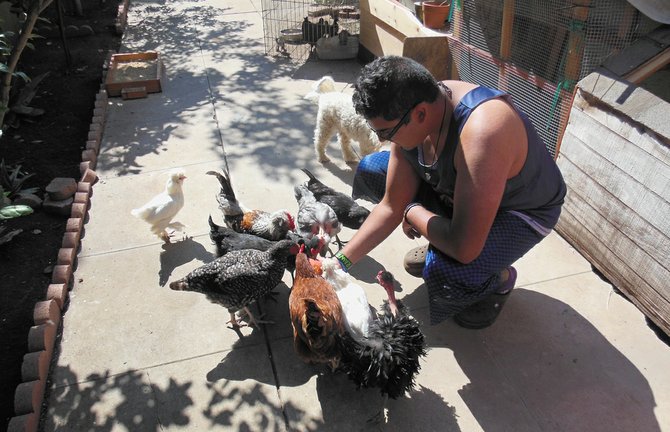 José feeds the chickens a peach