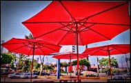 photo thumbnail