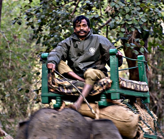 Mahout on elephant at Maghadi zone in the park