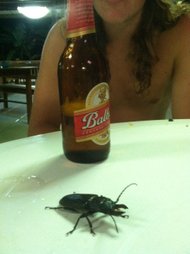 photo thumbnail