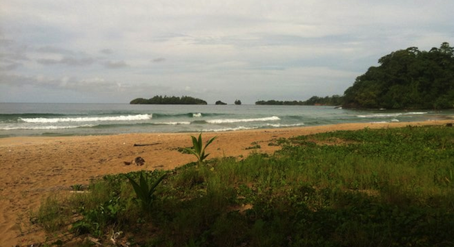 (Another) deserted beach in the islands of Bocas del Toro. 