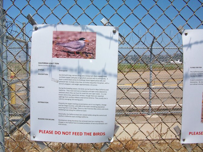 Sign about birds near San Diego Int'l Airport downtown.