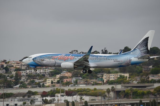 Colorful Alaska Airlines jet arriving downtown at Lindbergh Field.