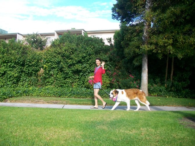 Big dog and lady walking it in Ocean Beach.