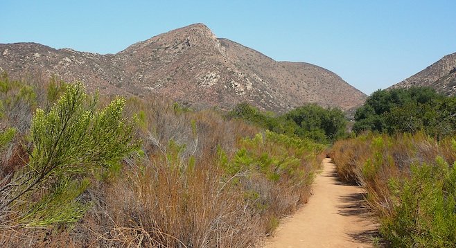 The loop begins along a level trail that heads toward South Fortuna Mountain.