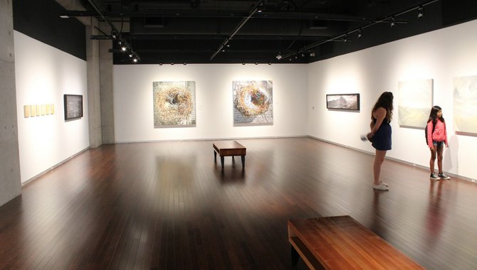Art gallery in new library