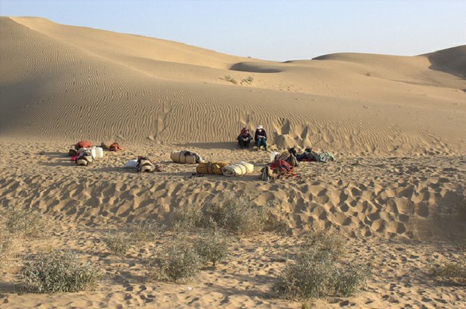 One of the camps in the Thar Desert
