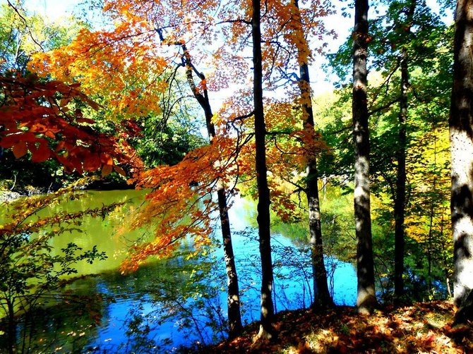 Autumn lake view in Michigan. 