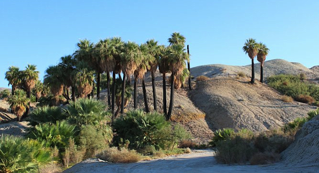 jeep tours coachella valley