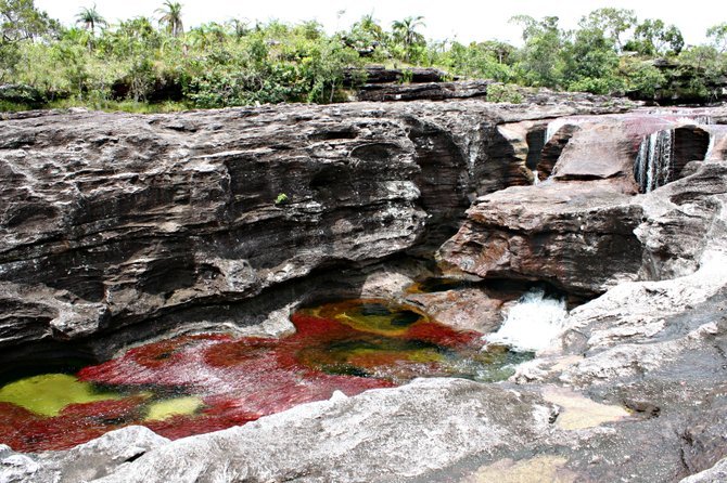Naturally formed pools in Caño Cristales.