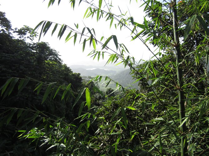 El Yunque, Nelson's country home