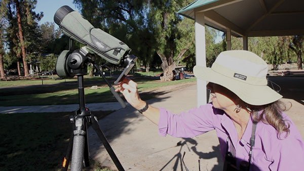 Karen Straus videotaping wild parrots with her iPhone attached to a powerful 1600x scope