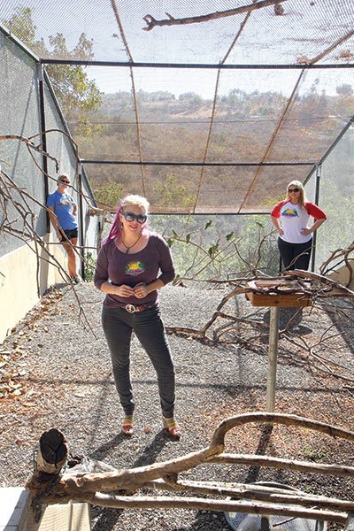 Brooke Durham and her staff inside SoCal Parrot’s state-of-the-art flight cage in Jamul